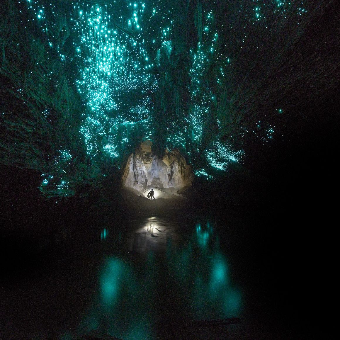 Kiwi Cave Rafting Glow Worms